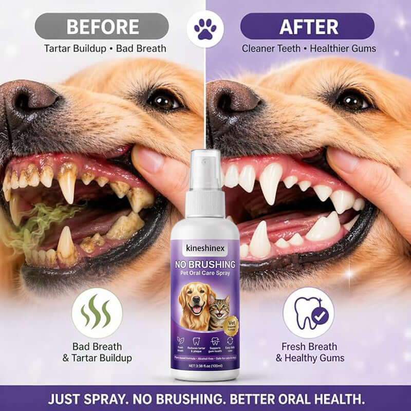 MaxandFriendsPets Breath Oral Care Spray for dogs and cats