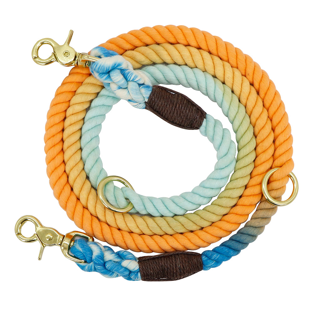 MaxandFriendsPets Gradient Color Dog Collar and Leash Set