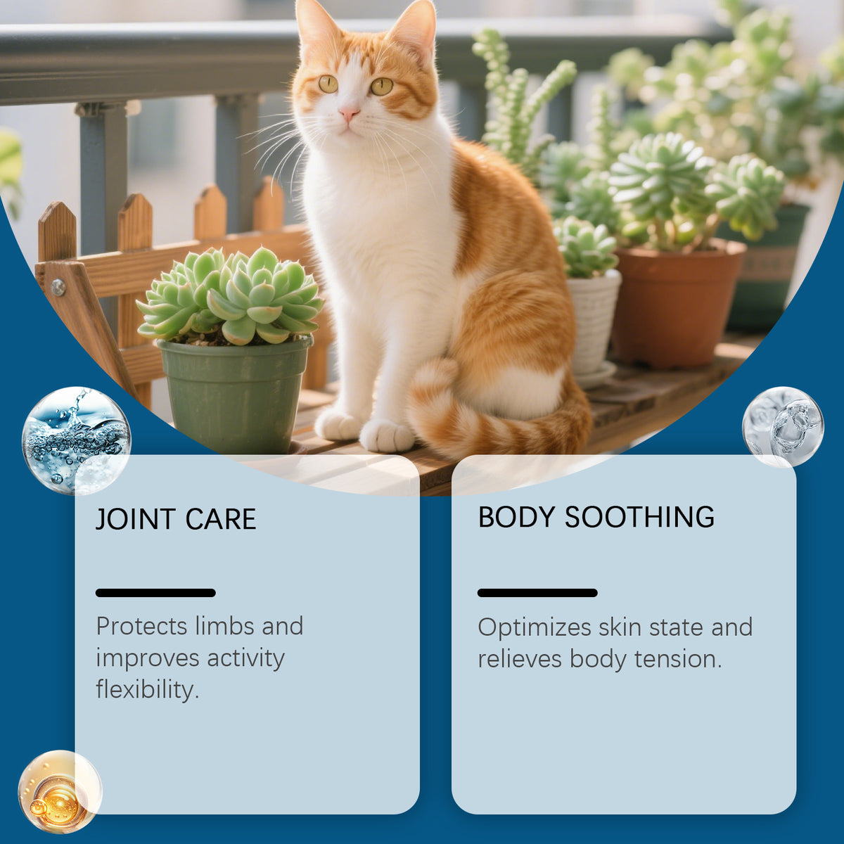 MaxandFriendsPets Pet Joint Care Drops for Dogs and Cats