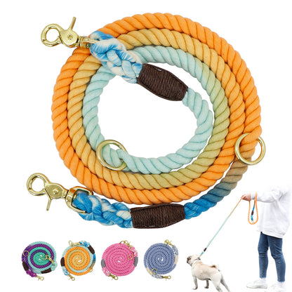 MaxandFriendsPets Gradient Color Dog Collar and Leash Set
