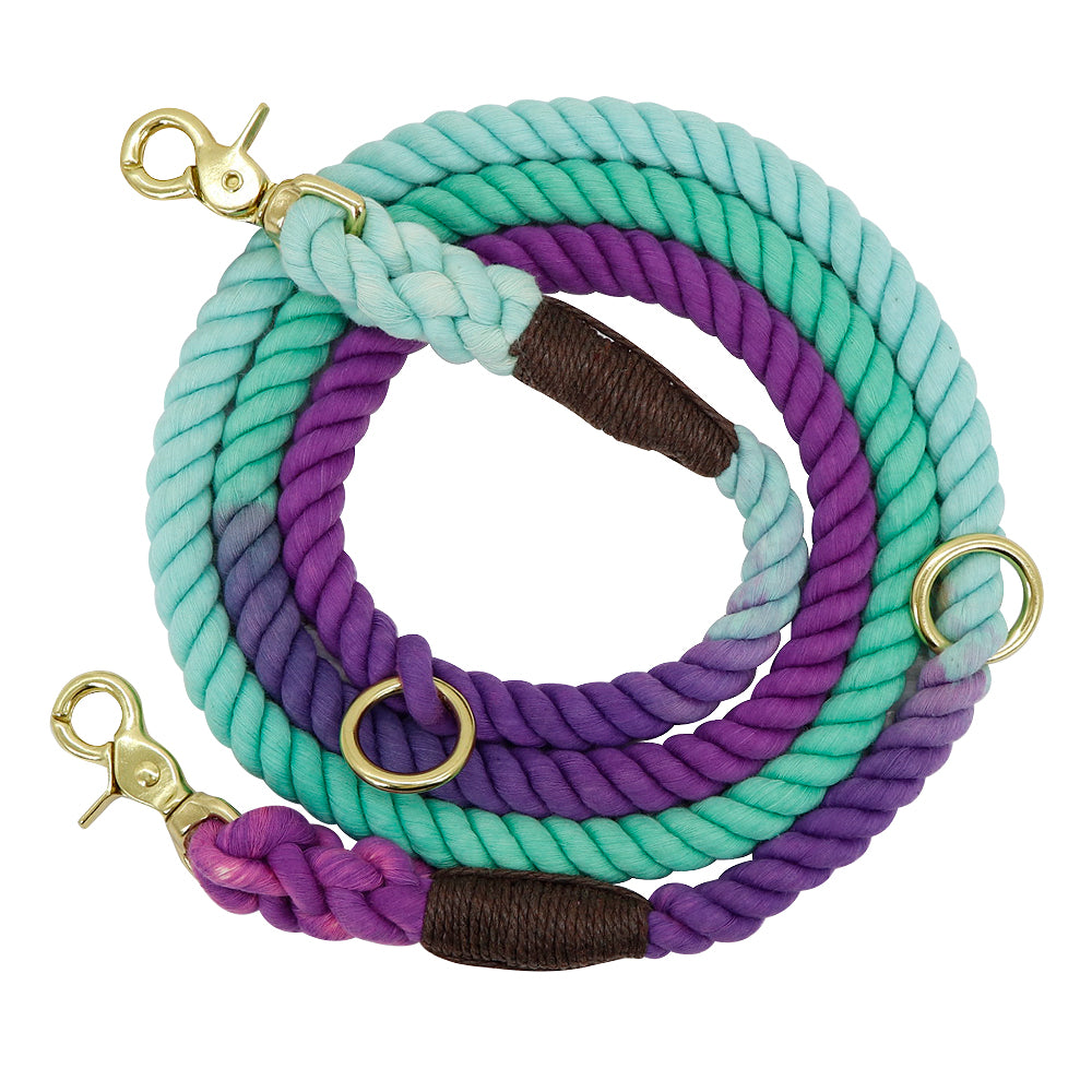 MaxandFriendsPets Gradient Color Dog Collar and Leash Set