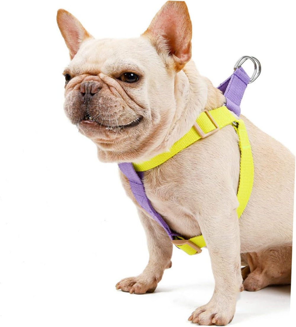 MaxandFriendsPets No Pull Nylon Dog Harness and Leash Set