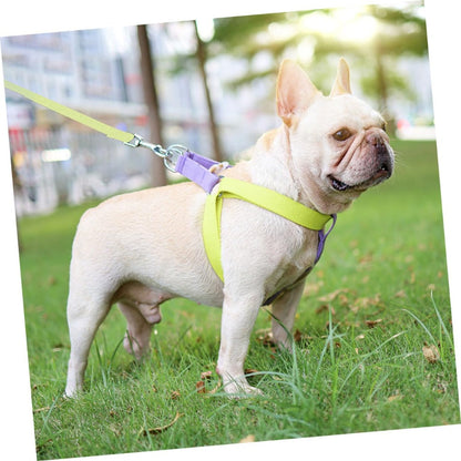 MaxandFriendsPets No Pull Nylon Dog Harness and Leash Set