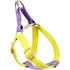MaxandFriendsPets No Pull Nylon Dog Harness and Leash Set